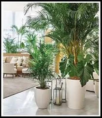 Buy Artificial Trees from Top Manufacturers in India